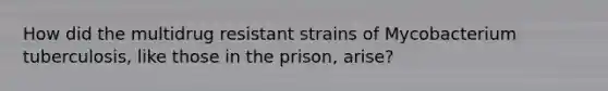 How did the multidrug resistant strains of Mycobacterium tuberculosis, like those in the prison, arise?