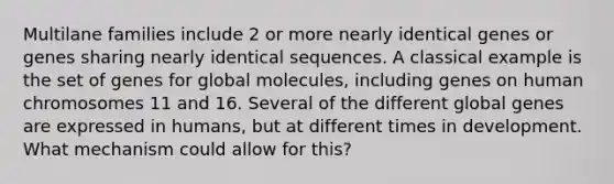 Multilane families include 2 or more nearly identical genes or genes sharing nearly identical sequences. A classical example is the set of genes for global molecules, including genes on human chromosomes 11 and 16. Several of the different global genes are expressed in humans, but at different times in development. What mechanism could allow for this?