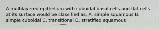 A multilayered epithelium with cuboidal basal cells and flat cells at its surface would be classified as: A. simple squamous B. simple cuboidal C. transitional D. stratified squamous