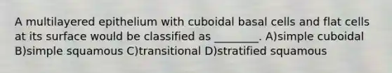 A multilayered epithelium with cuboidal basal cells and flat cells at its surface would be classified as ________. A)simple cuboidal B)simple squamous C)transitional D)stratified squamous