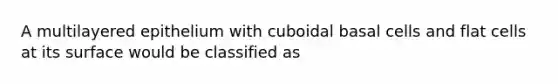 A multilayered epithelium with cuboidal basal cells and flat cells at its surface would be classified as