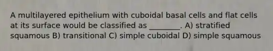 A multilayered epithelium with cuboidal basal cells and flat cells at its surface would be classified as ________. A) stratified squamous B) transitional C) simple cuboidal D) simple squamous