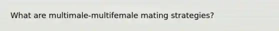 What are multimale-multifemale mating strategies?