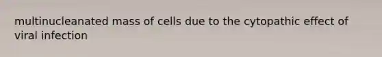 multinucleanated mass of cells due to the cytopathic effect of viral infection