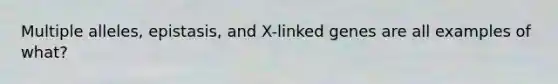 Multiple alleles, epistasis, and X-linked genes are all examples of what?