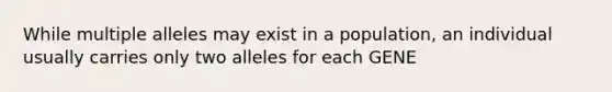 While multiple alleles may exist in a population, an individual usually carries only two alleles for each GENE