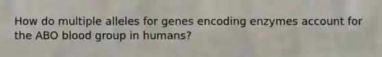 How do multiple alleles for genes encoding enzymes account for the ABO blood group in humans?