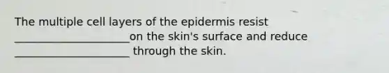 The multiple cell layers of <a href='https://www.questionai.com/knowledge/kBFgQMpq6s-the-epidermis' class='anchor-knowledge'>the epidermis</a> resist _____________________on the skin's surface and reduce _____________________ through the skin.