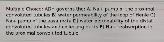 Multiple Choice: ADH governs the: A) Na+ pump of the proximal convoluted tubules B) water permeability of the loop of Henle C) Na+ pump of the vasa recta D) water permeability of the distal convoluted tubules and collecting ducts E) Na+ reabsorption in the proximal convoluted tubule