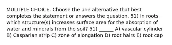 MULTIPLE CHOICE. Choose the one alternative that best completes the statement or answers the question. 51) In roots, which structure(s) increases surface area for the absorption of water and minerals from the soil? 51) ______ A) vascular cylinder B) Casparian strip C) zone of elongation D) root hairs E) root cap