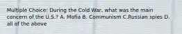 Multiple Choice: During the Cold War, what was the main concern of the U.S.? A. Mofia B. Communism C.Russian spies D. all of the above