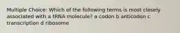 Multiple Choice: Which of the following terms is most closely associated with a tRNA molecule? a codon b anticodon c transcription d ribosome