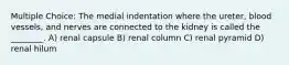 Multiple Choice: The medial indentation where the ureter, blood vessels, and nerves are connected to the kidney is called the ________. A) renal capsule B) renal column C) renal pyramid D) renal hilum