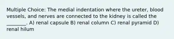 Multiple Choice: The medial indentation where the ureter, <a href='https://www.questionai.com/knowledge/kZJ3mNKN7P-blood-vessels' class='anchor-knowledge'>blood vessels</a>, and nerves are connected to the kidney is called the ________. A) renal capsule B) renal column C) renal pyramid D) renal hilum