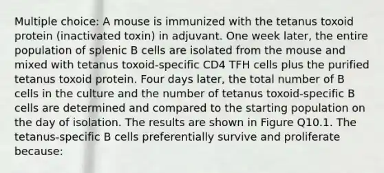 Multiple choice: A mouse is immunized with the tetanus toxoid protein (inactivated toxin) in adjuvant. One week later, the entire population of splenic B cells are isolated from the mouse and mixed with tetanus toxoid-specific CD4 TFH cells plus the purified tetanus toxoid protein. Four days later, the total number of B cells in the culture and the number of tetanus toxoid-specific B cells are determined and compared to the starting population on the day of isolation. The results are shown in Figure Q10.1. The tetanus-specific B cells preferentially survive and proliferate because: