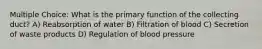 Multiple Choice: What is the primary function of the collecting duct? A) Reabsorption of water B) Filtration of blood C) Secretion of waste products D) Regulation of blood pressure