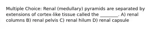 Multiple Choice: Renal (medullary) pyramids are separated by extensions of cortex-like tissue called the ________. A) renal columns B) renal pelvis C) renal hilum D) renal capsule