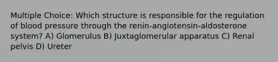 Multiple Choice: Which structure is responsible for the regulation of blood pressure through the renin-angiotensin-aldosterone system? A) Glomerulus B) Juxtaglomerular apparatus C) Renal pelvis D) Ureter