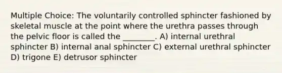 Multiple Choice: The voluntarily controlled sphincter fashioned by skeletal muscle at the point where the urethra passes through the pelvic floor is called the ________. A) internal urethral sphincter B) internal anal sphincter C) external urethral sphincter D) trigone E) detrusor sphincter