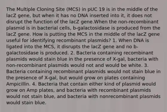 The Multiple Cloning Site (MCS) in pUC 19 is in the middle of the lacZ gene, but when it has no DNA inserted into it, it does not disrupt the function of the lacZ gene.When the non-recombinant plasmid is in bacterial cells, b-galactosidase is produced from the lacZ gene. How is putting the MCS in the middle of the lacZ gene useful for identifying recombinant plasmids? 1. When DNA is ligated into the MCS, it disrupts the lacZ gene and no b-galactosidase is produced. 2. Bacteria containing recombinant plasmids would stain blue in the presence of X-gal, bacteria with non-recombinant plasmids would not and would be white. 3. Bacteria containing recombinant plasmids would not stain blue in the presence of X-gal, but would grow on plates containing Ampicillin. 4. Bacteria that contain either kind of plasmid would grow on Amp plates, and bacteria with recombinant plasmids would not stain blue, and bacteria with nonrecombinant plasmids would stain blue.