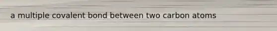 a multiple covalent bond between two carbon atoms