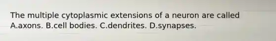 The multiple cytoplasmic extensions of a neuron are called A.axons. B.cell bodies. C.dendrites. D.synapses.