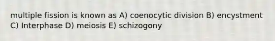 multiple fission is known as A) coenocytic division B) encystment C) Interphase D) meiosis E) schizogony