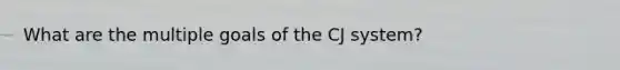 What are the multiple goals of the CJ system?