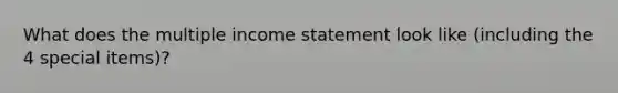 What does the multiple income statement look like (including the 4 special items)?