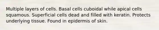 Multiple layers of cells. Basal cells cuboidal while apical cells squamous. Superficial cells dead and filled with keratin. Protects underlying tissue. Found in epidermis of skin.