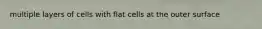 multiple layers of cells with flat cells at the outer surface