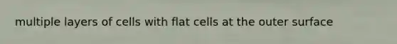 multiple layers of cells with flat cells at the outer surface