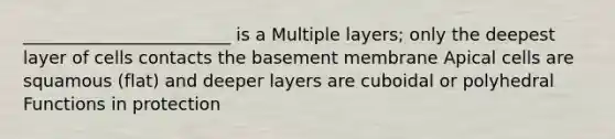 ________________________ is a Multiple layers; only the deepest layer of cells contacts the basement membrane Apical cells are squamous (flat) and deeper layers are cuboidal or polyhedral Functions in protection