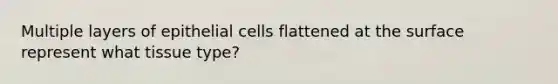 Multiple layers of epithelial cells flattened at the surface represent what tissue type?