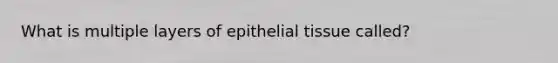 What is multiple layers of epithelial tissue called?