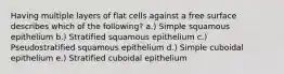 Having multiple layers of flat cells against a free surface describes which of the following? a.) Simple squamous epithelium b.) Stratified squamous epithelium c.) Pseudostratified squamous epithelium d.) Simple cuboidal epithelium e.) Stratified cuboidal epithelium