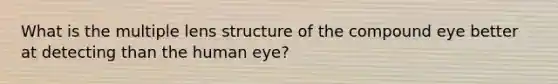 What is the multiple lens structure of the compound eye better at detecting than the human eye?