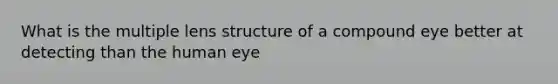 What is the multiple lens structure of a compound eye better at detecting than the human eye