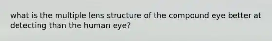 what is the multiple lens structure of the compound eye better at detecting than the human eye?