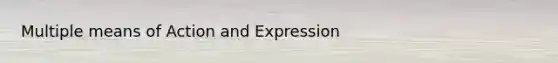 Multiple means of Action and Expression