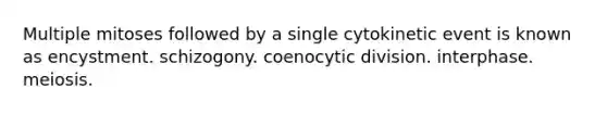 Multiple mitoses followed by a single cytokinetic event is known as encystment. schizogony. coenocytic division. interphase. meiosis.