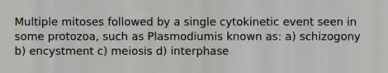 Multiple mitoses followed by a single cytokinetic event seen in some protozoa, such as Plasmodiumis known as: a) schizogony b) encystment c) meiosis d) interphase