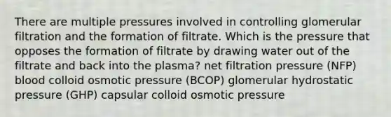 There are multiple pressures involved in controlling glomerular filtration and the formation of filtrate. Which is the pressure that opposes the formation of filtrate by drawing water out of the filtrate and back into the plasma? net filtration pressure (NFP) blood colloid osmotic pressure (BCOP) glomerular hydrostatic pressure (GHP) capsular colloid osmotic pressure