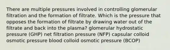 There are multiple pressures involved in controlling glomerular filtration and the formation of filtrate. Which is the pressure that opposes the formation of filtrate by drawing water out of the filtrate and back into the plasma? glomerular hydrostatic pressure (GHP) net filtration pressure (NFP) capsular colloid osmotic pressure blood colloid osmotic pressure (BCOP)