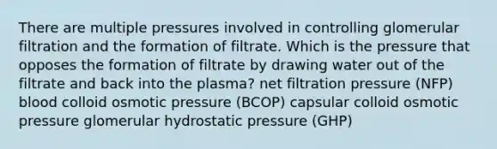 There are multiple pressures involved in controlling glomerular filtration and the formation of filtrate. Which is the pressure that opposes the formation of filtrate by drawing water out of the filtrate and back into the plasma? net filtration pressure (NFP) blood colloid osmotic pressure (BCOP) capsular colloid osmotic pressure glomerular hydrostatic pressure (GHP)