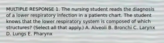 MULTIPLE RESPONSE 1. The nursing student reads the diagnosis of a lower respiratory infection in a patients chart. The student knows that the lower respiratory system is composed of which structures? (Select all that apply.) A. Alveoli B. Bronchi C. Larynx D. Lungs E. Pharynx