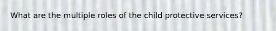 What are the multiple roles of the child protective services?