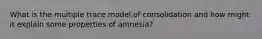 What is the multiple trace model of consolidation and how might it explain some properties of amnesia?