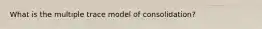 What is the multiple trace model of consolidation?