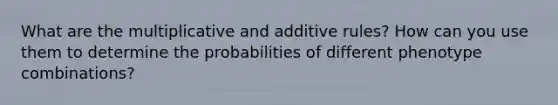 What are the multiplicative and additive rules? How can you use them to determine the probabilities of different phenotype combinations?